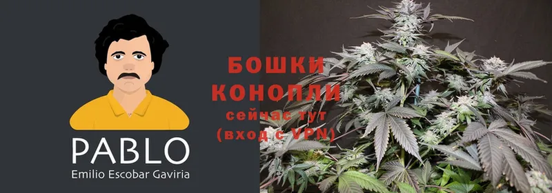 Шишки марихуана Ganja  mega зеркало  Всеволожск 